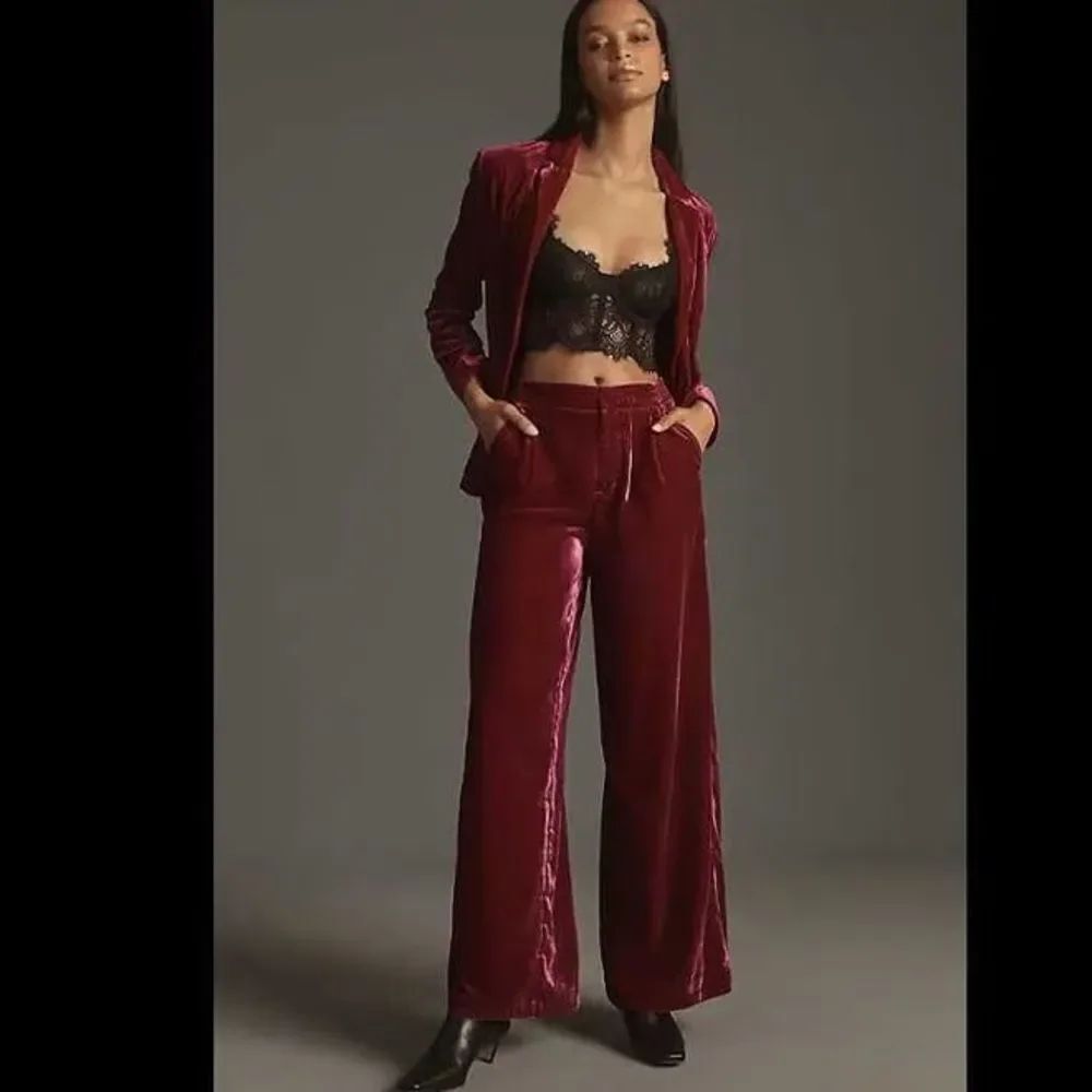 Anthropologie Wide Leg Velvet Pants NWT